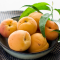Iranian apricot , types of apricot in Iran