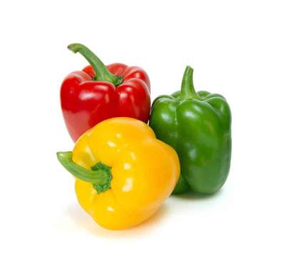 Export Persian Bell Pepper - Tokba Trading, Tokba Fresh Vegetables Producers