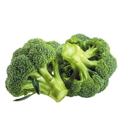 Export Persian Broccoli - Tokba Trading, Tokba Fresh Vegetables Producers