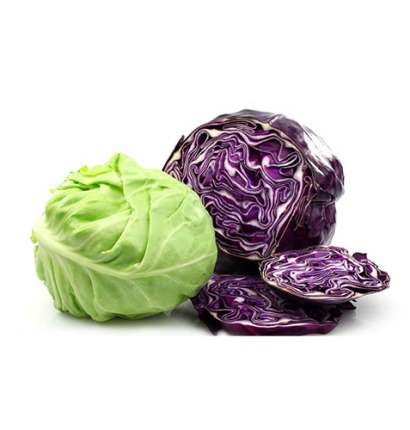 Export Persian Cabbage - Tokba Trading, Tokba Fresh Vegetables Producers