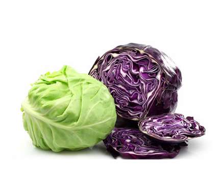Export Persian Cabbage - Tokba Trading, Tokba Fresh Vegetables Producers