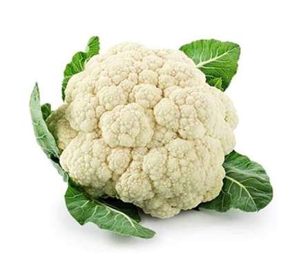 Export Persian Cauliflower - Tokba Trading, Tokba Fresh Vegetables Producers