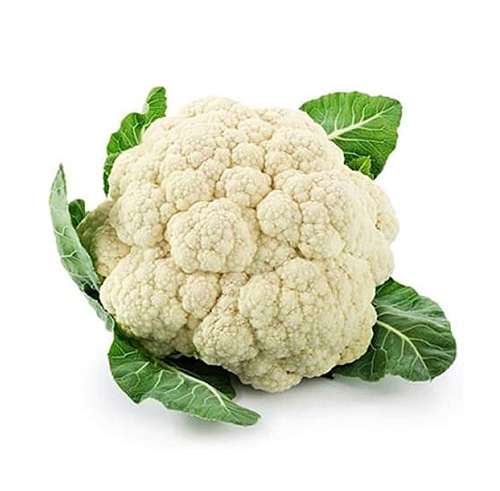 Export Persian Cauliflower - Tokba Trading, Tokba Fresh Vegetables Producers