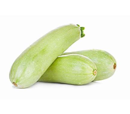 Export Persian Zucchini - Tokba Trading, Tokba Fresh Vegetables Producers