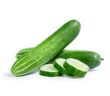 Export Persian Cucumber - Tokba Trading, Tokba Fresh Vegetables Producers