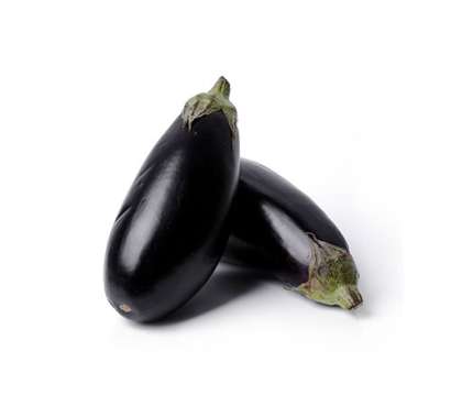 Export Persian Eggplant - Tokba Trading, Tokba Fresh Vegetables Producers