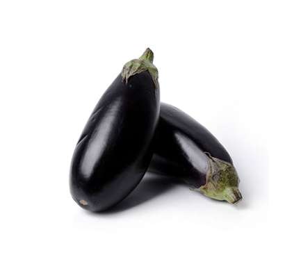 Export Persian Eggplant - Tokba Trading, Tokba Fresh Vegetables Producers