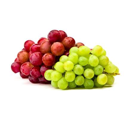 Grapes - Tokba Trading, Tokba Fresh Fruit Products