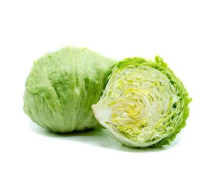 Export Persian Iceberg Lettuce - Tokba Trading, Tokba Fresh Vegetables Producers