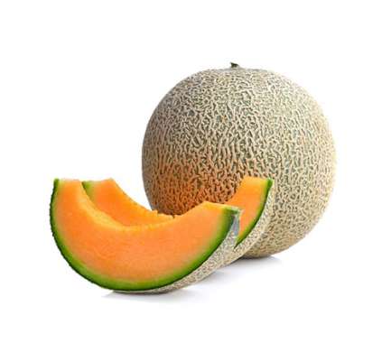 Persian Melon - Tokba Trading, Tokba Fresh Fruit Products