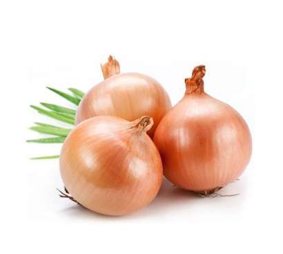 Export Persian Onion - Tokba Trading, Tokba Fresh Vegetables Producers