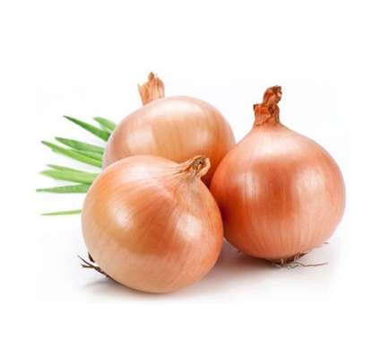 Export Persian Onion - Tokba Trading, Tokba Fresh Vegetables Producers