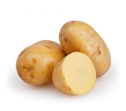 Export Persian Potato - Tokba Trading, Tokba Fresh Vegetables Producers