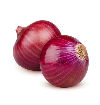 Export Persian Red Onion - Tokba Trading, Tokba Fresh Vegetables Producers