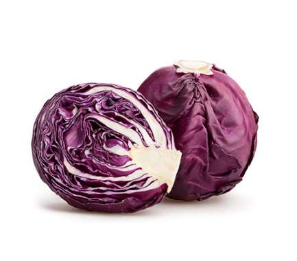 Export Persian Red Cabbage - Tokba Trading, Tokba Fresh Vegetables Producers