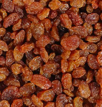 Export Sultana Raisins Dark Brown - Tokba Trading, Tokba Dried Fruit Producer