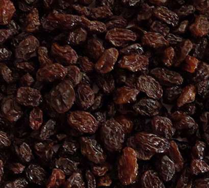 Export Thompson raisins Iran - Tokba Trading, Tokba Dried Fruit Producer