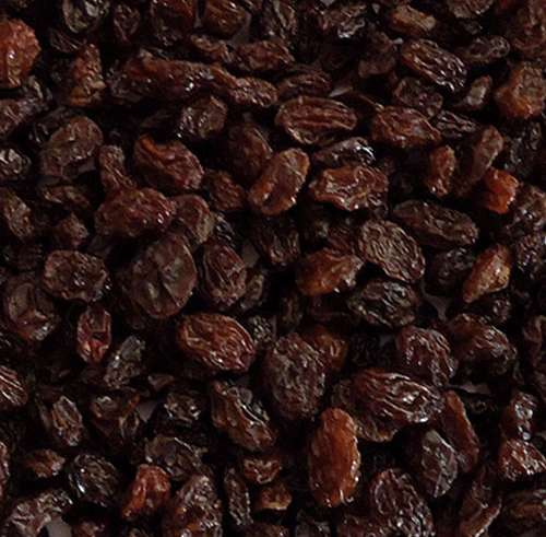 Export Thompson raisins Iran - Tokba Trading, Tokba Dried Fruit Producer