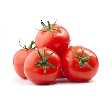 Tomato - Tokba Trading Export Fresh Vegetables, fruit and Pistachio