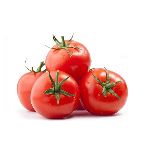 Tomato - Tokba Trading Export Fresh Vegetables, fruit and Pistachio