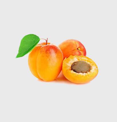 Apricot - Tokba Trading, Tokba Fresh Fruit Products