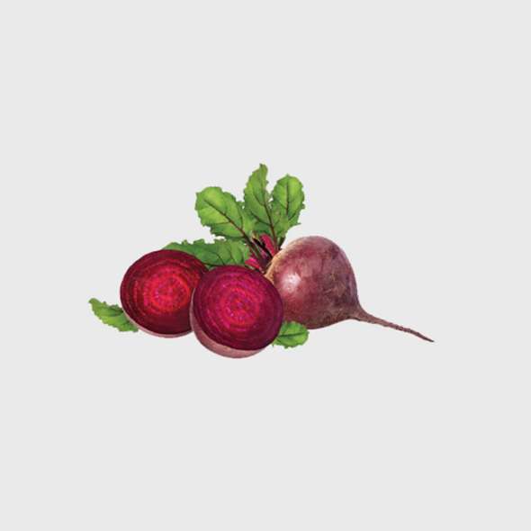 Export Persian Beet - Tokba Trading, Tokba Fresh Vegetables Producers