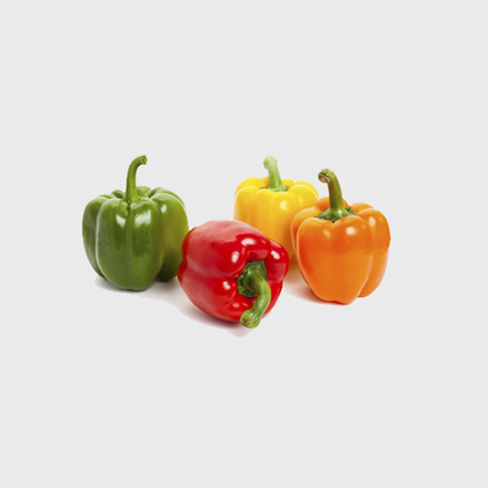 Export Persian Bell Pepper - Tokba Trading, Tokba Fresh Vegetables Producers