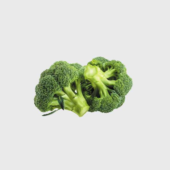 Export Persian Broccoli - Tokba Trading, Tokba Fresh Vegetables Producers