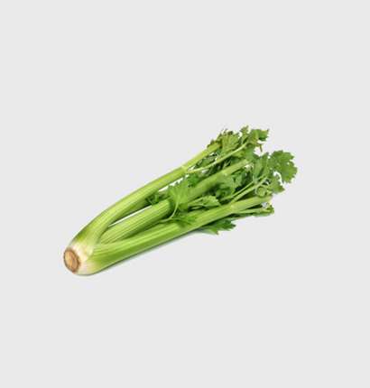 Export Persian Celery - Tokba Trading, Tokba Fresh Vegetables Producers