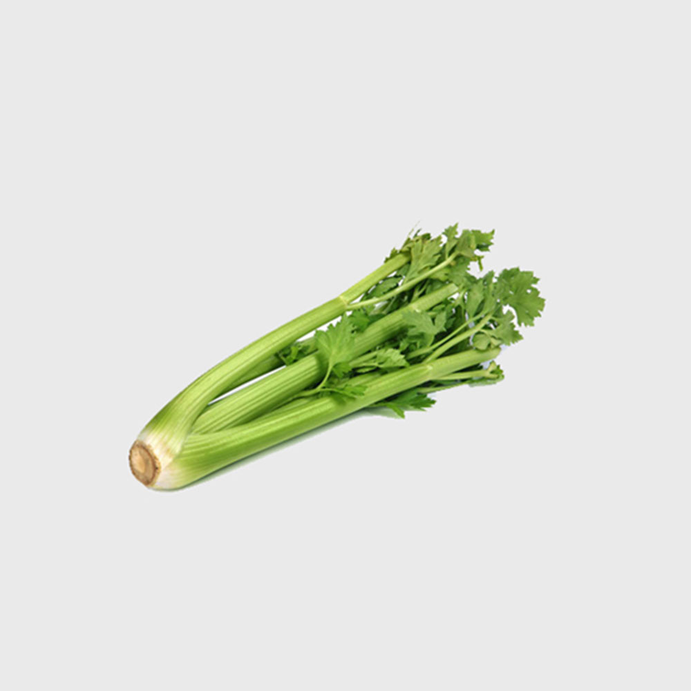 Export Persian Celery - Tokba Trading, Tokba Fresh Vegetables Producers