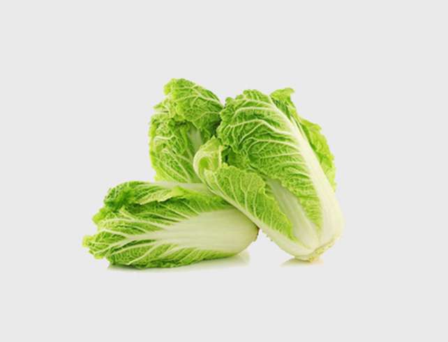 Export Persian Chinese Cabbage - Tokba Trading, Tokba Fresh Vegetables Producers
