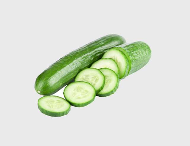 Export Persian Cucumber - Tokba Trading, Tokba Fresh Vegetables Producers