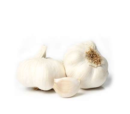 Export Persian Garlic - Tokba Trading, Tokba Fresh Vegetables Producers