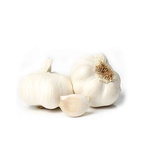 Export Persian Garlic - Tokba Trading, Tokba Fresh Vegetables Producers