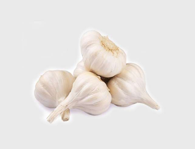 Export Persian Garlic - Tokba Trading, Tokba Fresh Vegetables Producers