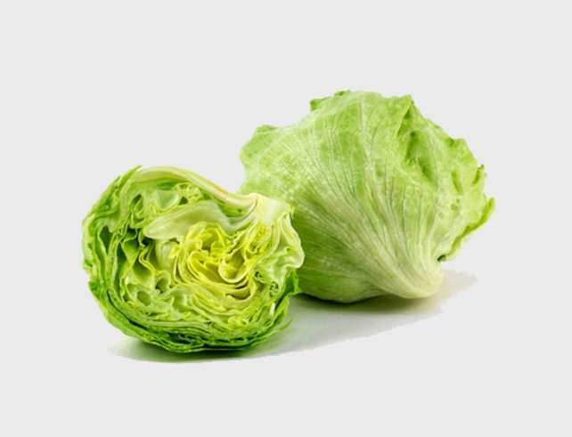Export Persian Iceberg Lettuce - Tokba Trading, Tokba Fresh Vegetables Producers