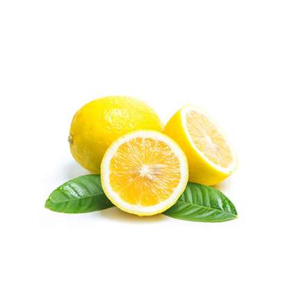 Lemon - Tokba Trading, Tokba Fresh Fruit Products