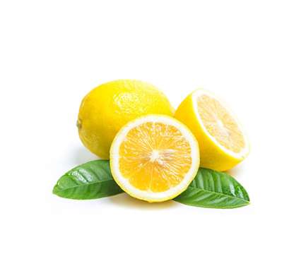Lemon - Tokba Trading, Tokba Fresh Fruit Products