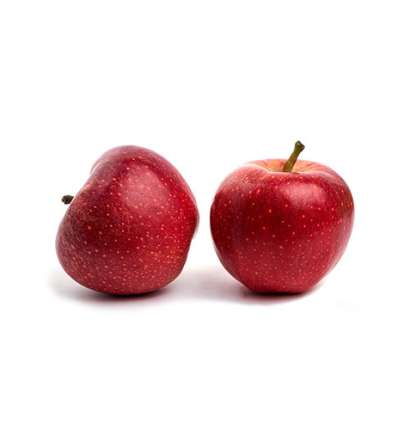 Producers Red Apple - Tokba Trading