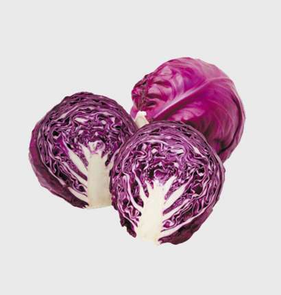 Export Persian Red Cabbage - Tokba Trading, Tokba Fresh Vegetables Producers