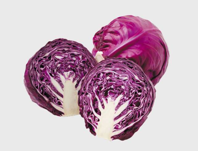 Export Persian Red Cabbage - Tokba Trading, Tokba Fresh Vegetables Producers