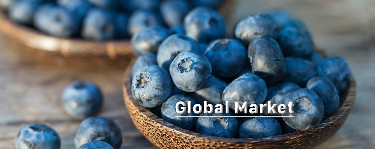GLOBAL OVERVIEW BLUEBERRIES