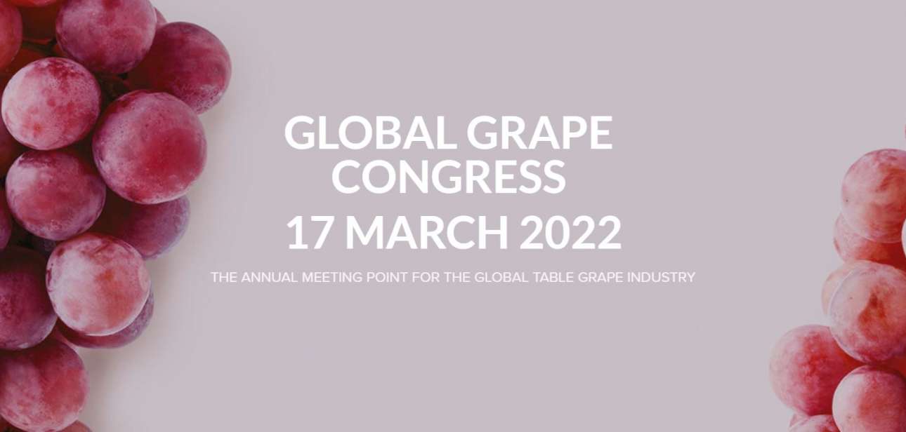 Tokba Trading - Return The Global Grape Congress 2022 Again