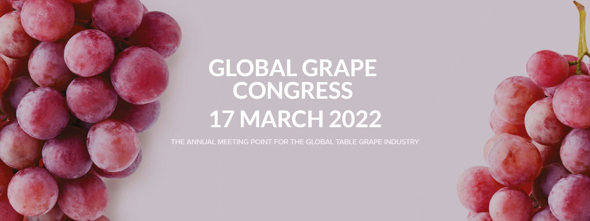 Tokba Trading - Return The Global Grape Congress 2022 Again