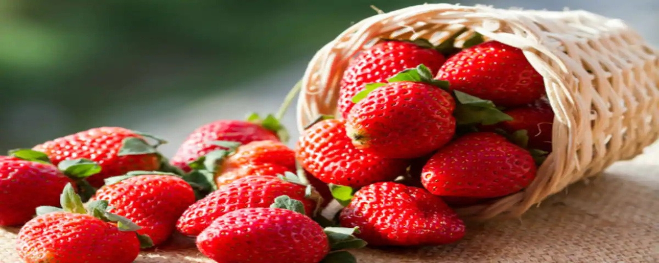 Global Overview Strawberries