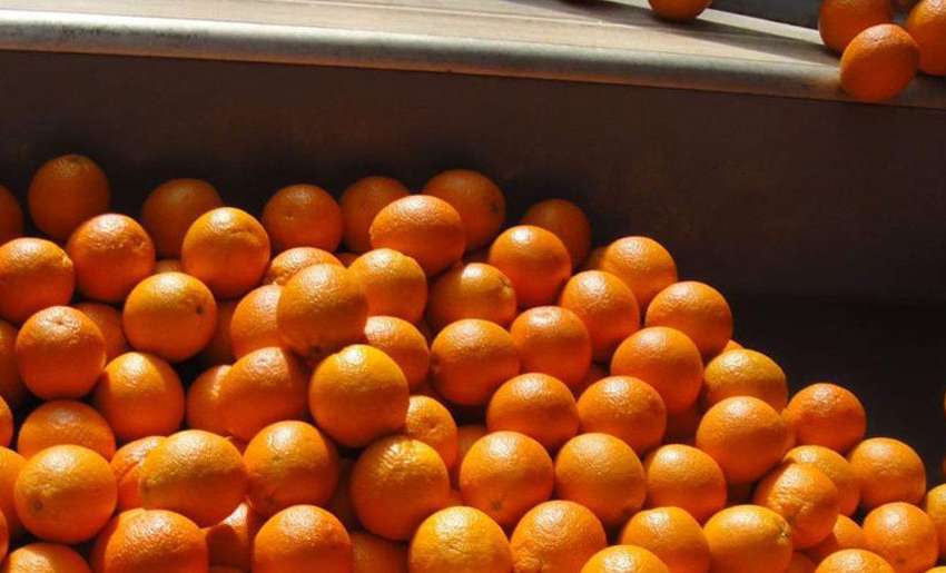 Iran boosts sales to Uzbekistan