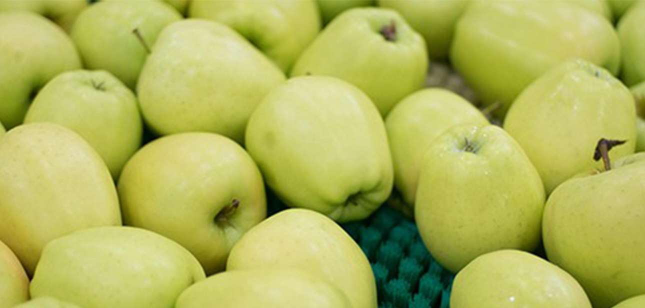 Positive outlook for South African pear/apple season