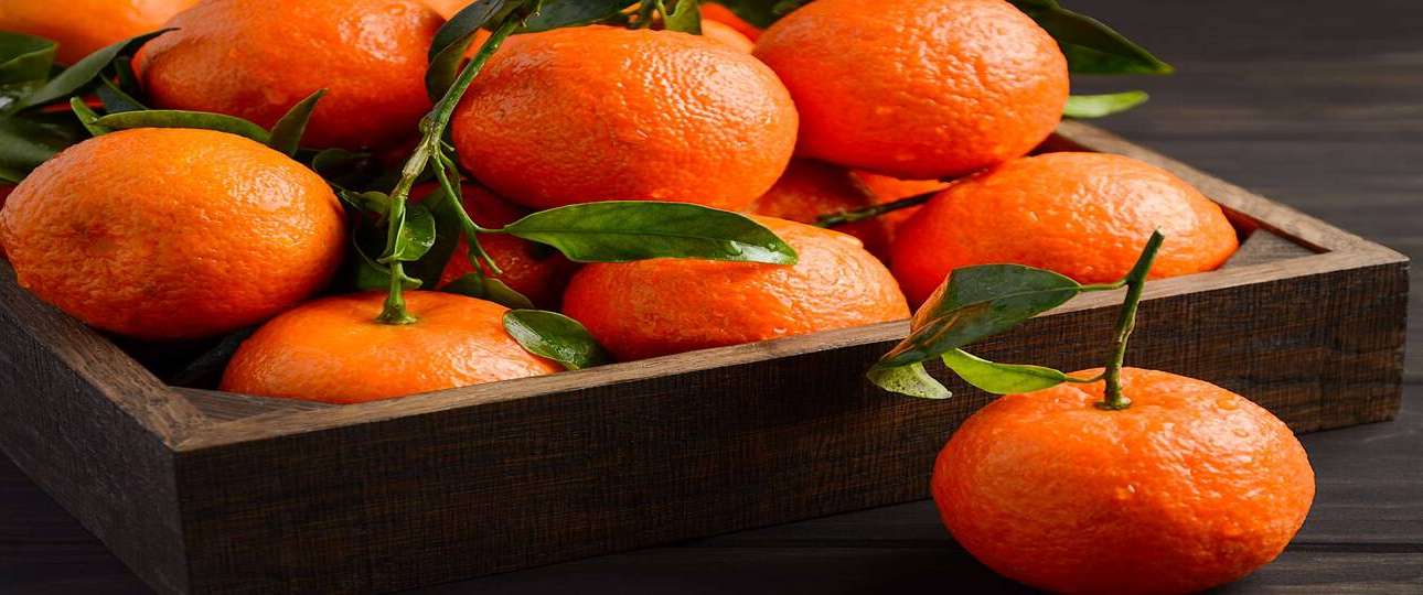 Global Overview Mandarins