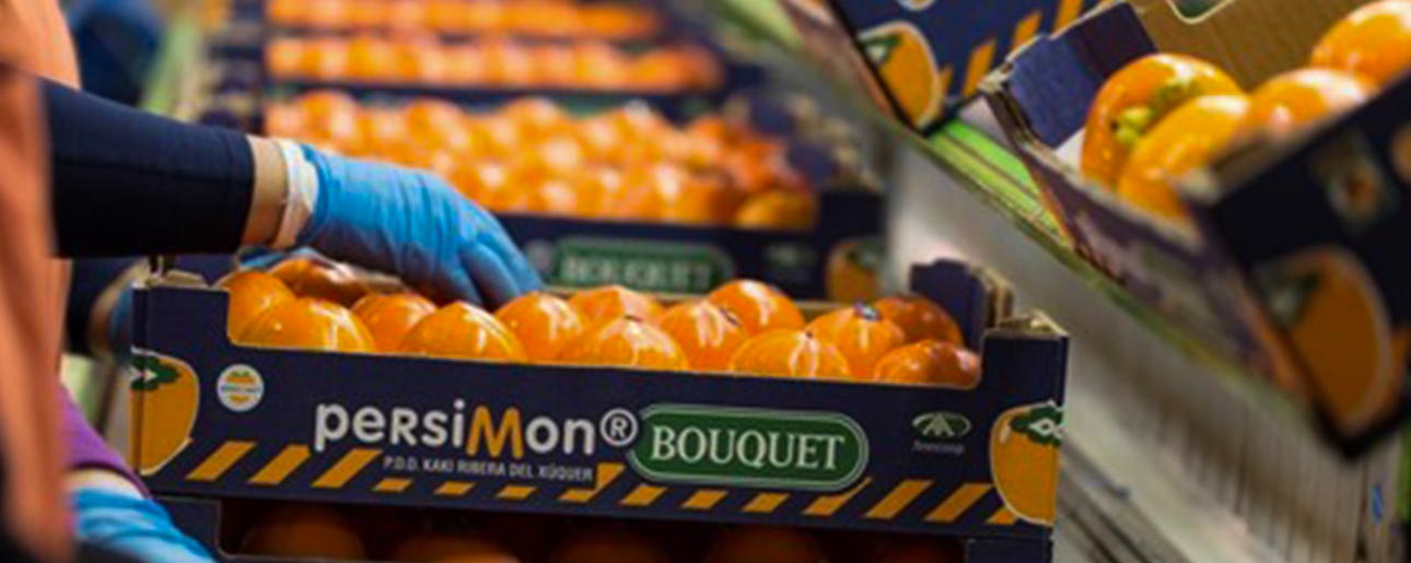 persimmon production has fallen by 70 percent
