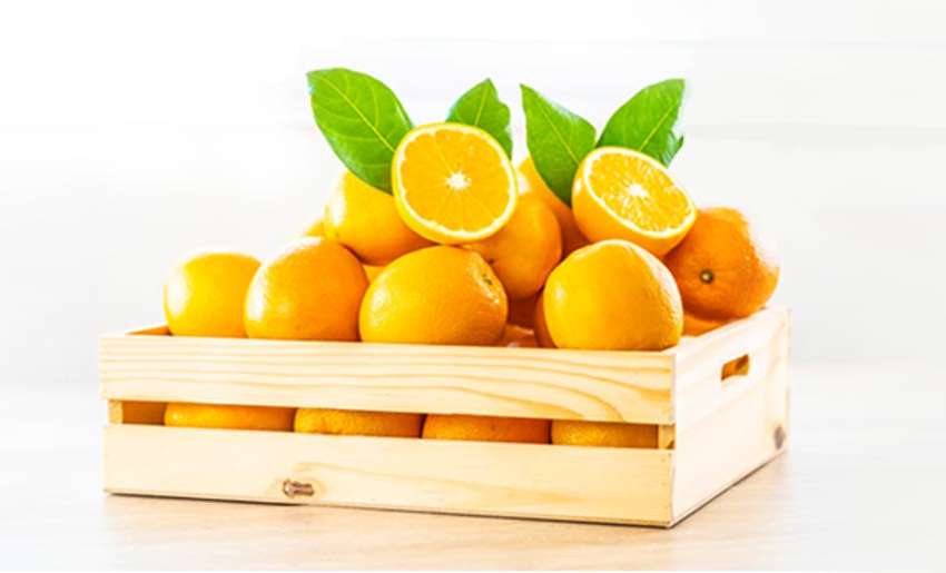 Orange: The most famous citrus fruit, History and Health Benefits